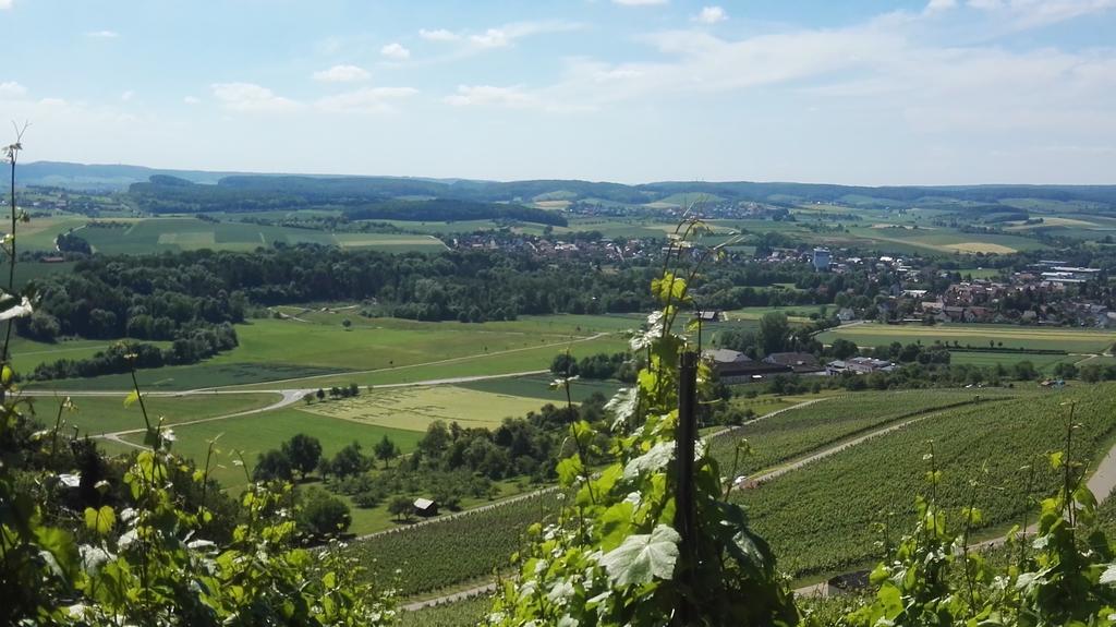 Wein- Appartements Borth Bretzfeld Exteriér fotografie